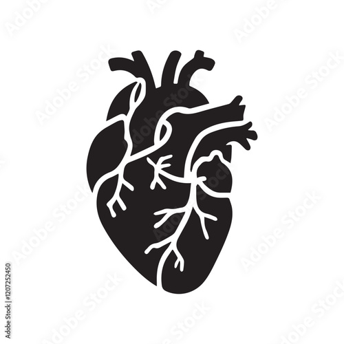 anatomical heart vector clip art flat design.