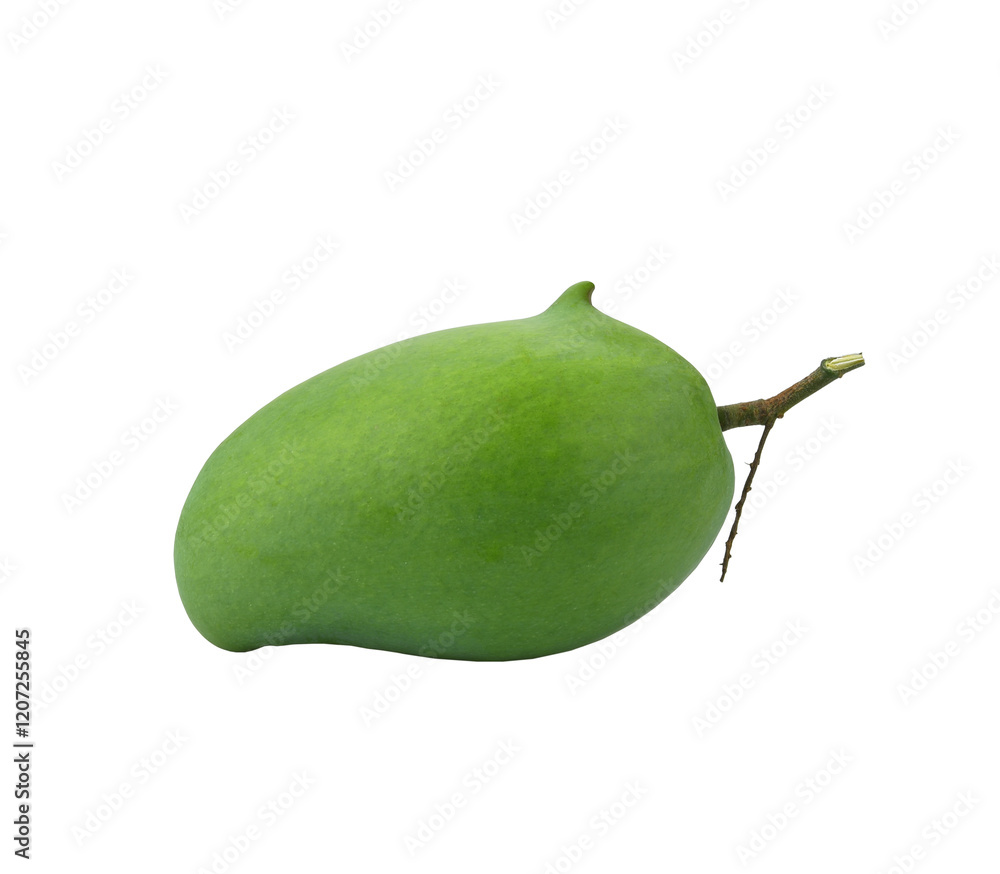 Fresh Green mango(Rhino Mango) isolated on transparen png. Fresh Green mango(Rhino Mango) isolated on transparen png.