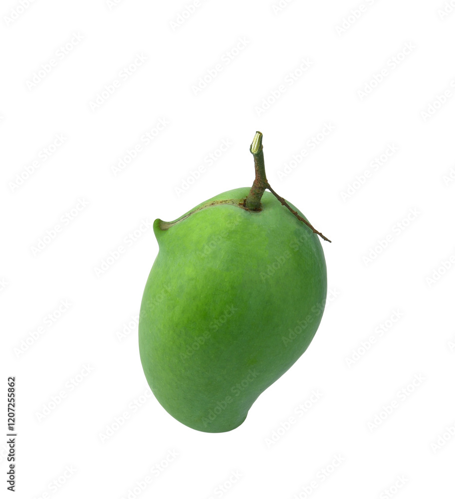 Fresh Green mango(Rhino Mango) isolated on transparen png. Fresh Green mango(Rhino Mango) isolated on transparen png.