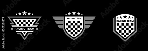 Set of racing logo, symbol and sign. Racing flag illustration. Car race stripes. Car stripes design. Racing sticker design. Graphic sport decal vinyl element. Racing design vector photo