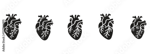 set off bundle anatomical heart vector clip art flat design