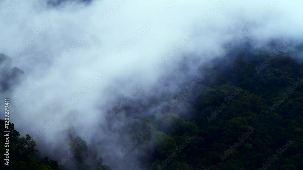 Timelapse of Mist Rising Over Rainforest Canopy - Stunning Monsoon View Timelapse of Mist Rising Over Rainforest Canopy - Stunning Monsoon View