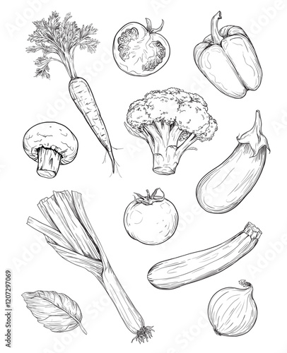 Set of hand drawn ink illustration of vegetables, cooking ingredients on white background