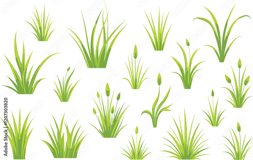 Obraz premium Grass Vector Clipart Bundle for Designs