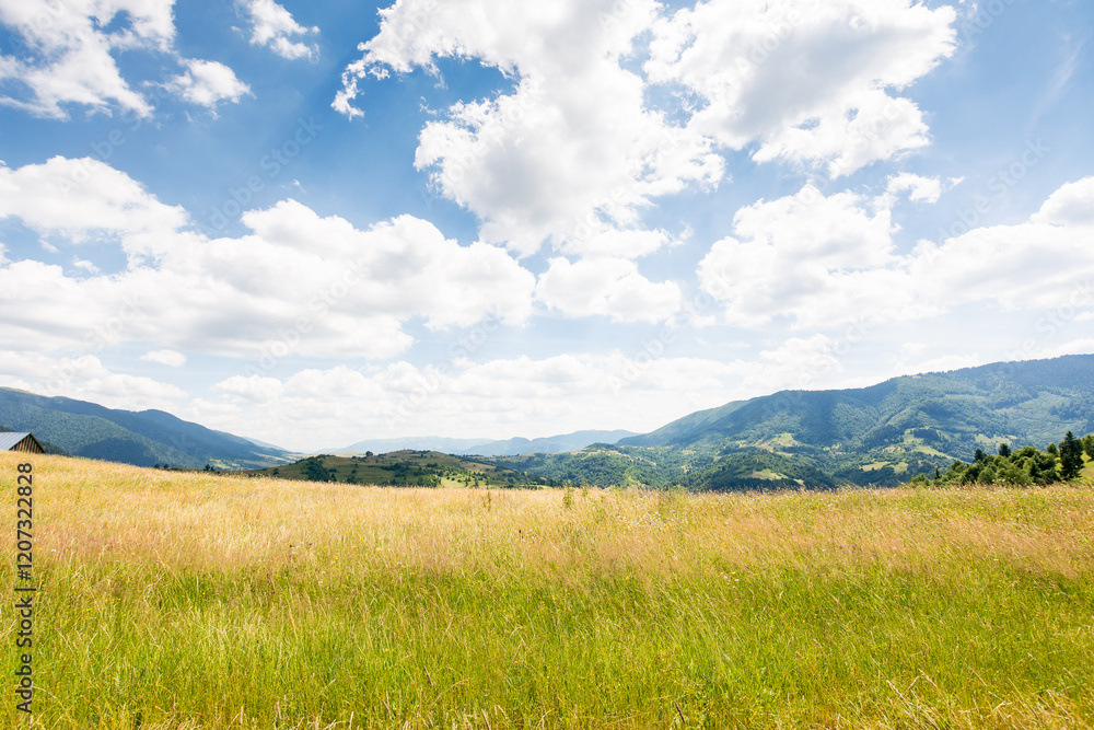 nature background with green field on the hill. rural pasture. blue sky with fluffy clouds. carpathian mountain landscape in summer. warm stunning weather nature background with green field on the hill. rural pasture. blue sky with fluffy clouds. carpathian mountain landscape in summer. warm stunning weather
