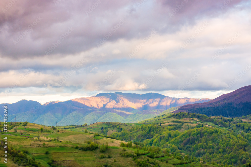mountain landscape in spring. highlands of ukraine. countryside scenery with rolling hills. sky with clouds in evening light. carpathian alps