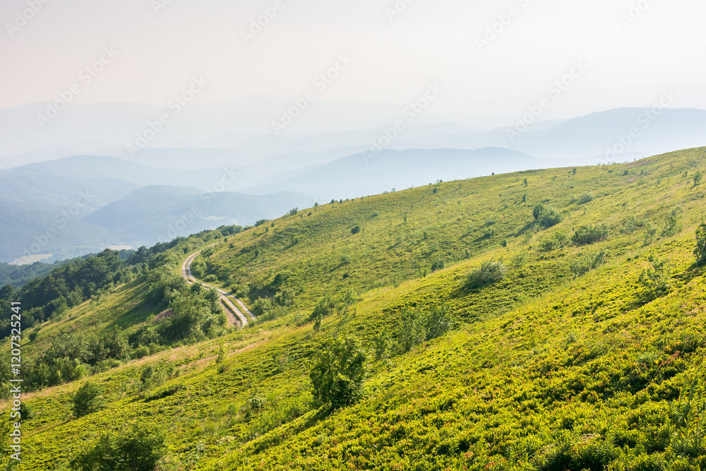 beautiful view of mountain landscape in summer. outdoor adventure. green hill rolling in to the distance in evening light. natural environment of carpathian alps