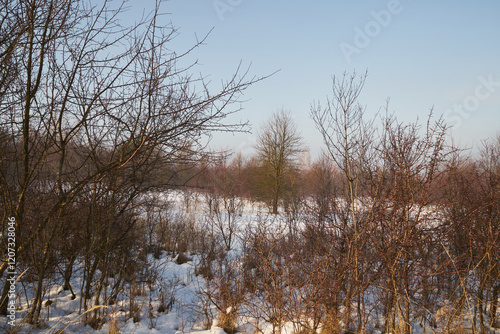 zima,łąka  photo