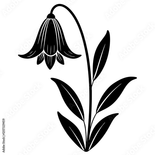 black and white bluebell flower