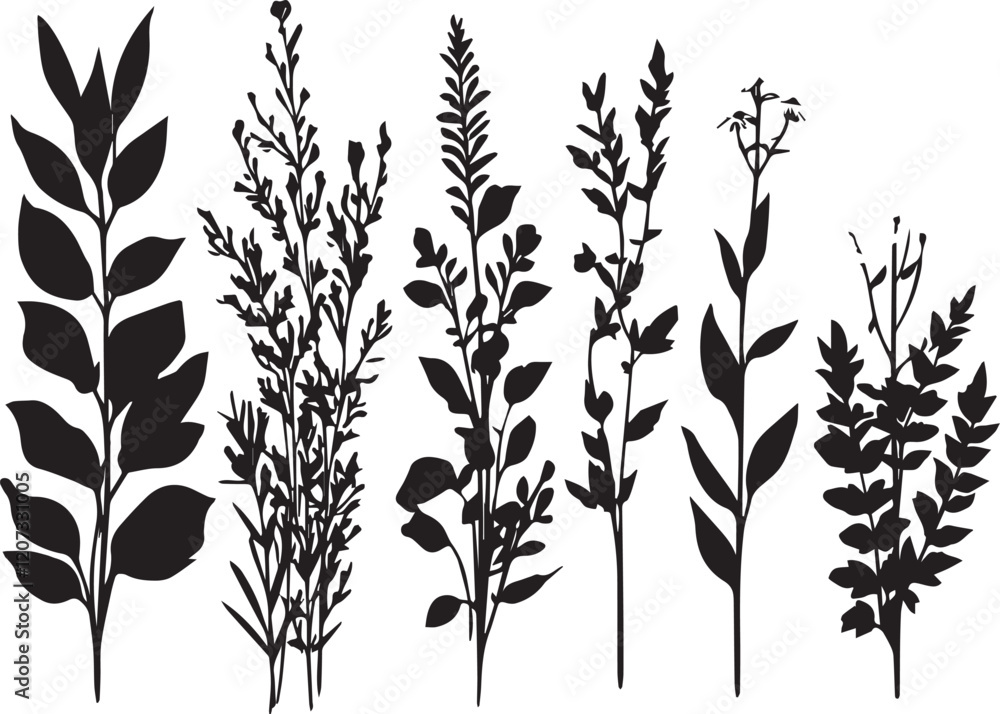 A set of plant silhouettes for flat design. Hand drawn vector illustration A set of plant silhouettes for flat design. Hand drawn vector illustration