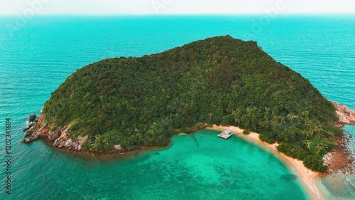 Aerial View of a Tropical Beach with Palm Trees and Crystal-Clear Turquoise Water
