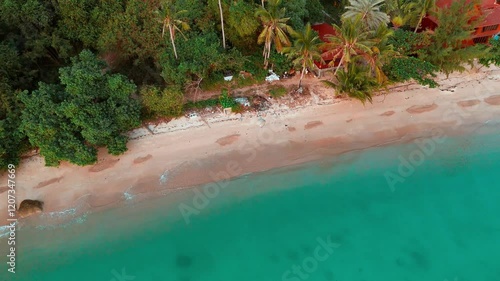 Aerial View of a Tropical Beach with Palm Trees and Crystal-Clear Turquoise Water