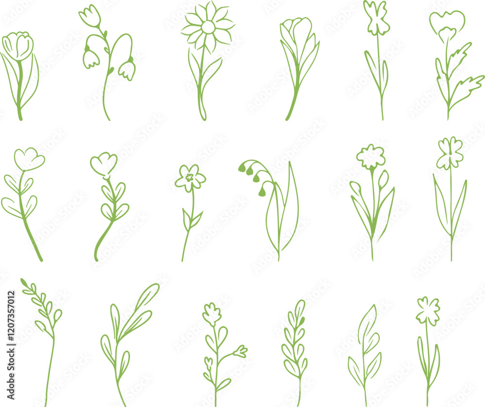 A set of vector doodle icons. Simple flower icons of bluebell, lily of the valley, poppy, rose, chamomile, tulip. A set of vector doodle icons. Simple flower icons of bluebell, lily of the valley, poppy, rose, chamomile, tulip.
