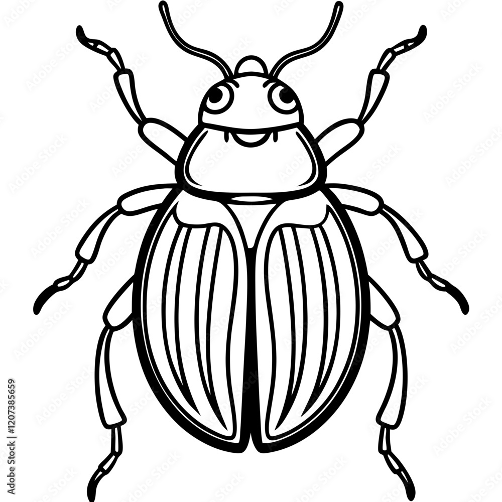 illustration of a beetle isolated on white line art new illustration of a beetle isolated on white line art new