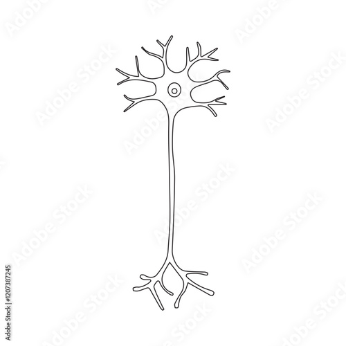 multipolar neuron line