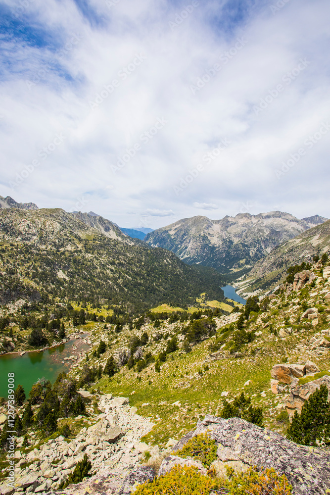 Summer landscape in Vall de Boi in Aiguestortes and Sant Maurici National Park, Spain Summer landscape in Vall de Boi in Aiguestortes and Sant Maurici National Park, Spain