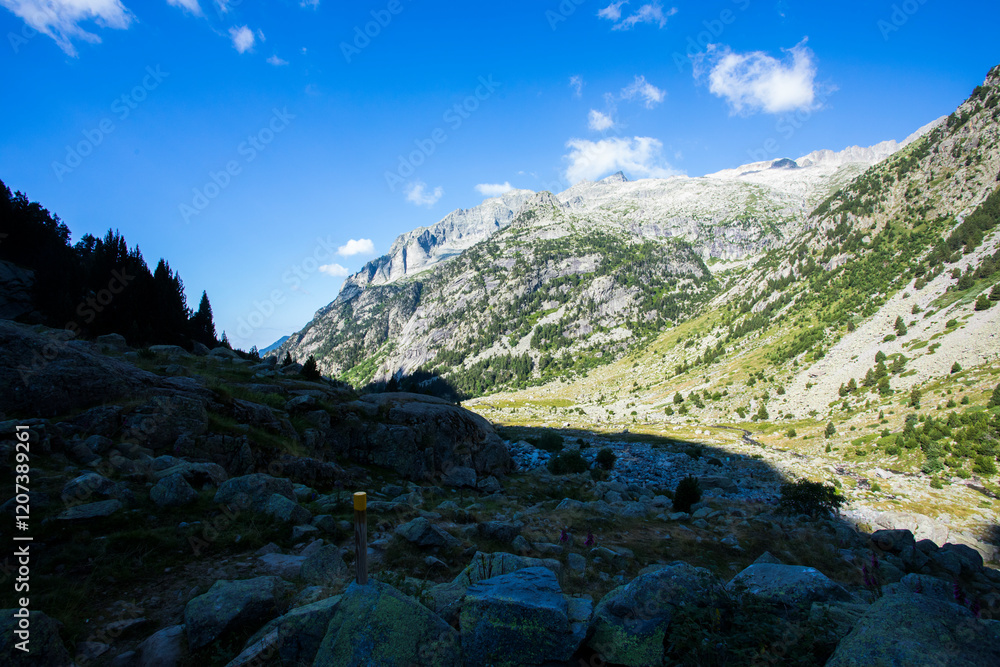 Obraz premium Summer landscape in Vall de Boi in Aiguestortes and Sant Maurici National Park, Spain