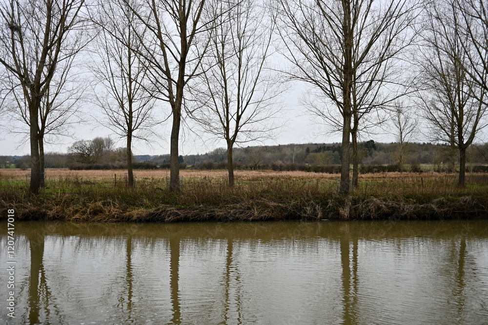 Scenic view of an overcast winter landscape of trees reflected in a river - namely the River Avon near the city of Bath in Somerset England Scenic view of an overcast winter landscape of trees reflected in a river - namely the River Avon near the city of Bath in Somerset England