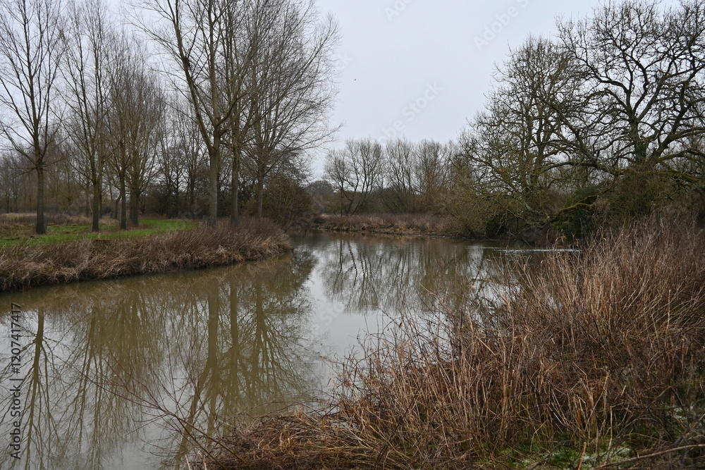 Scenic view of an overcast winter landscape of trees reflected in a winding river - namely the River Avon near the city of Bath in Somerset England Scenic view of an overcast winter landscape of trees reflected in a winding river - namely the River Avon near the city of Bath in Somerset England