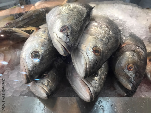 Close-up of fresh anchovy fish (Pomatomus saltatrix) displayed on ice at a seafood market. Perfect for culinary, fishing, or seafood trade themes.
 photo