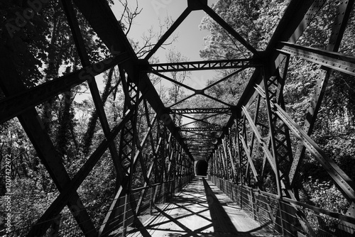 ancien viaduc de chemin de fer en métal abandonné, transformé en véloroute dans le Jura photo