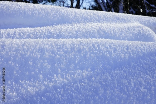 Canvas Print Snowflakes on snowfield in Switzerland