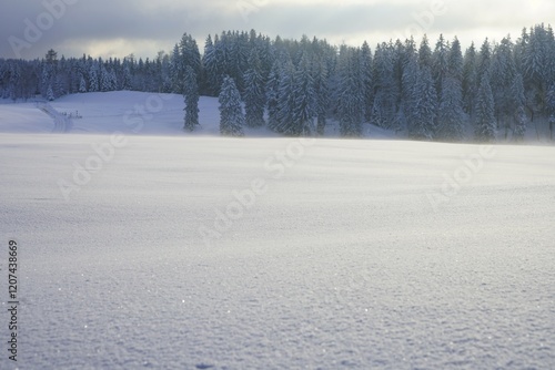 Winter landscape in Switzerland photo