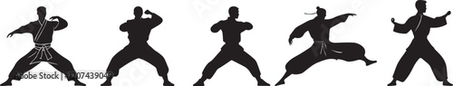 Silhouette of a kung fu master vector silhouette