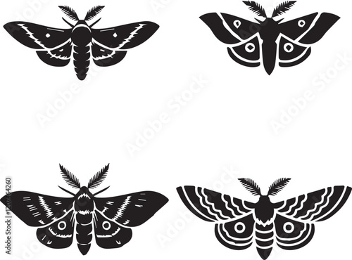 Exquisite Sunset Moth Silhouettes Vector Set - Vibrant & Detailed Nature Designs photo