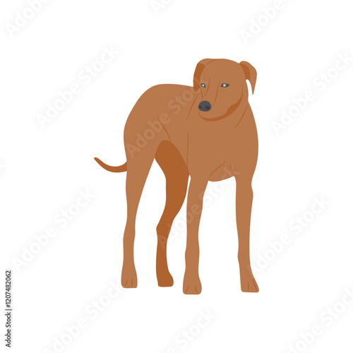 Dog, Veterinary Flat Vector Illustration