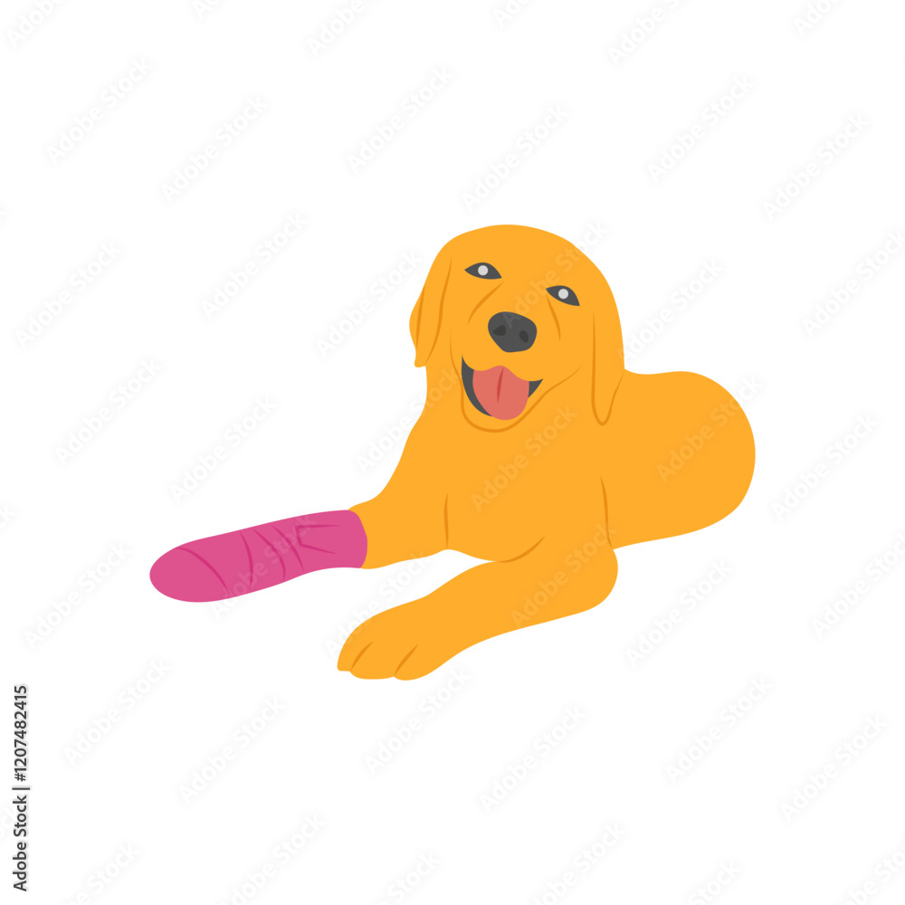 Obraz premium Dog Leg Surgery, Veterinary Flat Vector Illustration