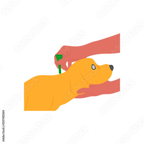 Flea Treatment, Veterinary Flat Vector Illustration