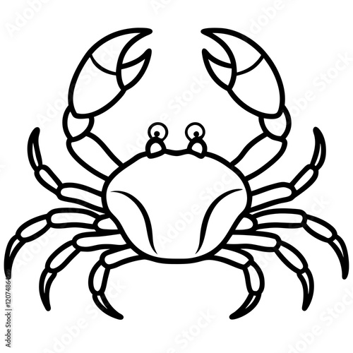 Simple Crab Vector Art photo