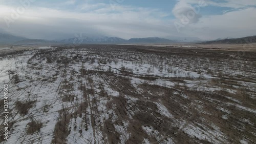 Wallpaper Mural large forest from above winter and trees small forest mountains Torontodigital.ca
