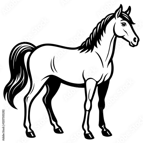 horse illustration