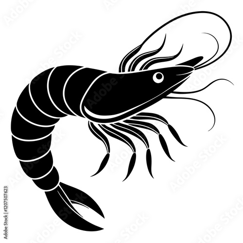 illustration of shrimp