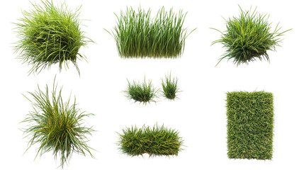 Various types of green grass clumps in different shapes, isolated on a white background, ideal for landscaping and gardening projects.