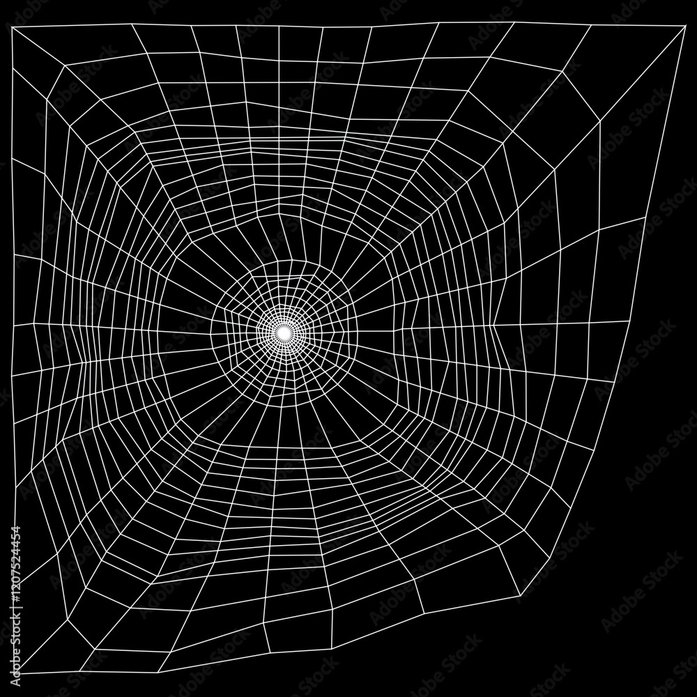 Fototapeta premium 3D Rendering Spiderweb on Black