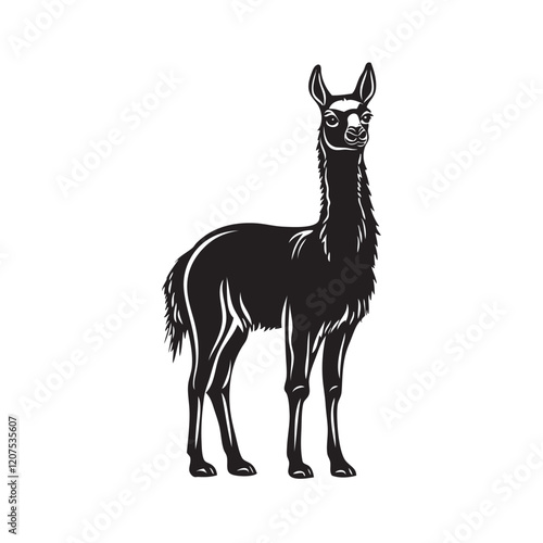 illustration of a alpaca