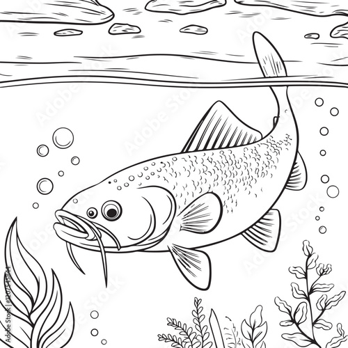 Catfish coloring page design.