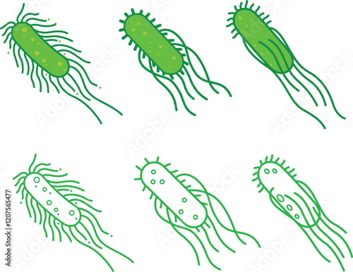 Set of Salmonella Typhi Bacteria Flat design and Outline  illustration