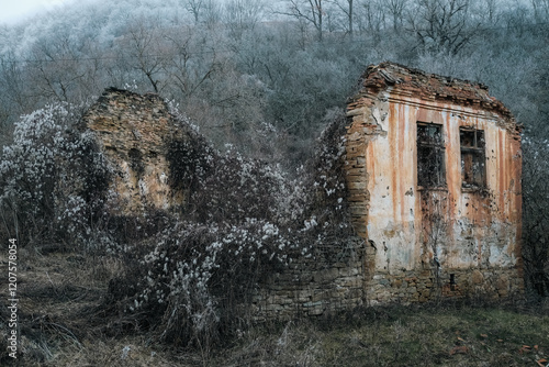 Old house in extreme decay condition, invaded by nature. Only the exterior walls remaining.  photo