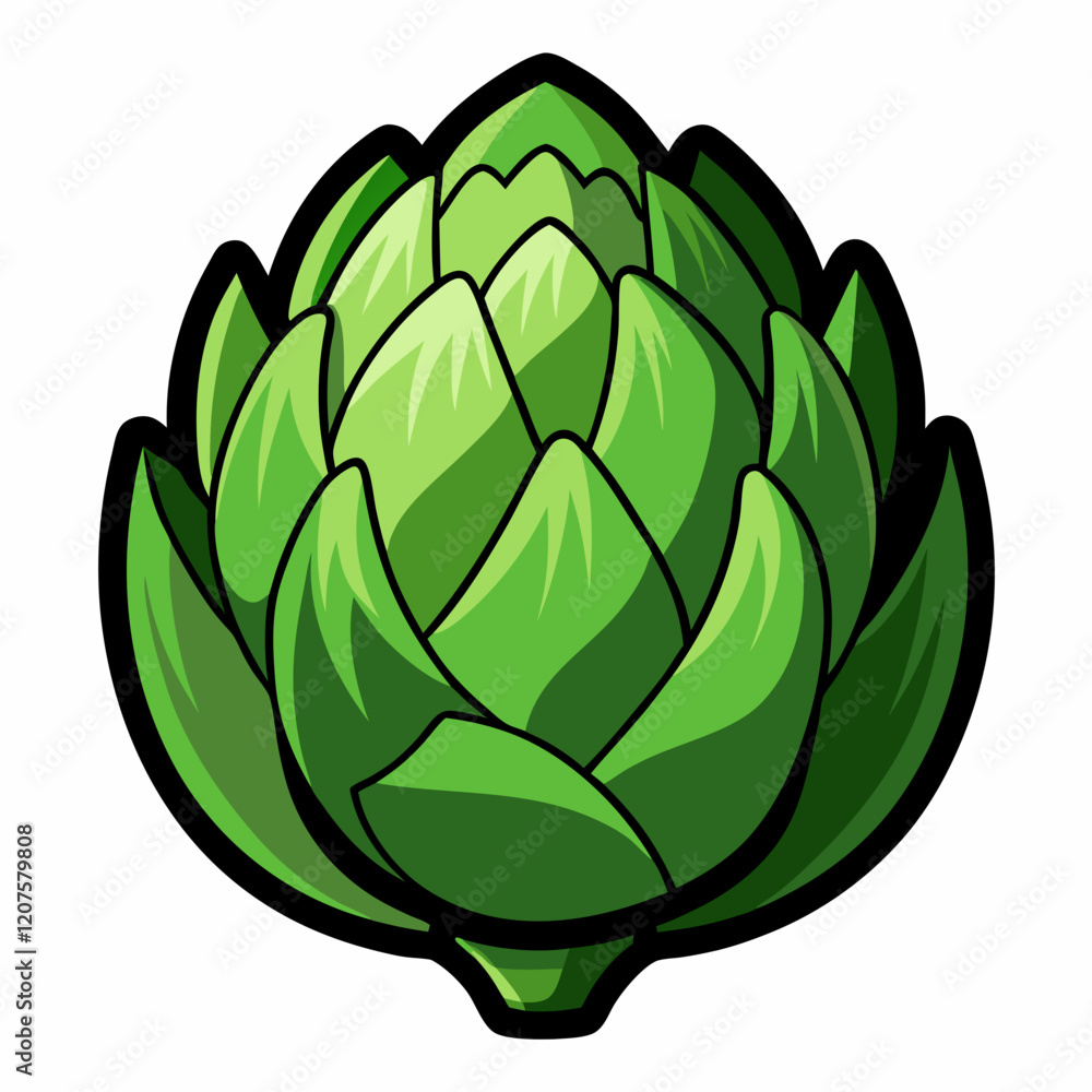 Obraz premium Artichoke vector white background