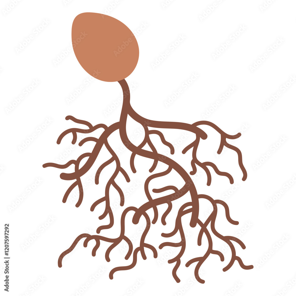 Seedling Sprout with Roots: A stylized illustration of a seed sprouting, showcasing its intricate root system reaching downwards. The design uses earthy terracotta and brown hues. Seedling Sprout with Roots: A stylized illustration of a seed sprouting, showcasing its intricate root system reaching downwards. The design uses earthy terracotta and brown hues.