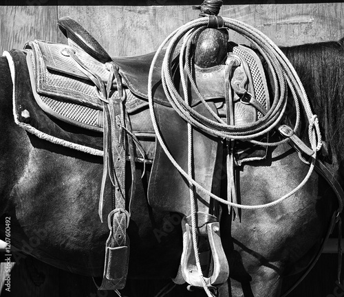 horse and saddle