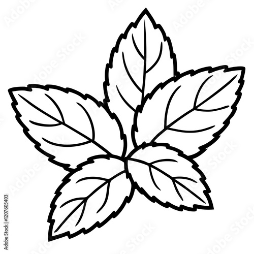 Vector Mint Leaf Illustration