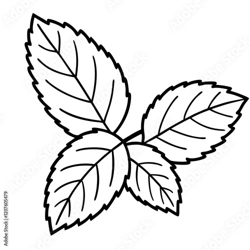 Vector Mint Leaf Illustration
