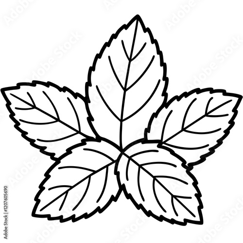 Vector Mint Leaf Illustration