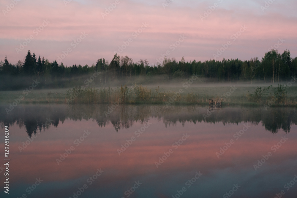 Fototapeta premium Cold summer morning in the forest with lake