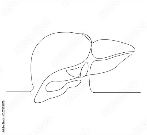 One continuous line drawing of human liver organs. single line of liver drawing.  illustration of liver anatomy concept. editable outline